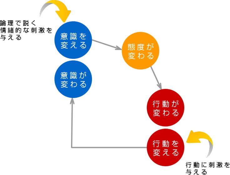 基本プロセス ブレーン ダイナミックス